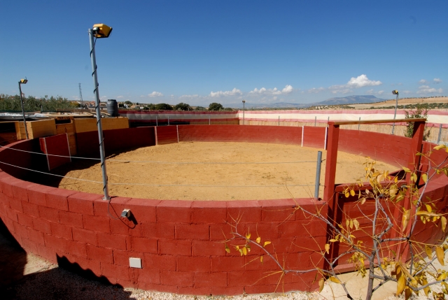Fiestas con o sin vaquilla